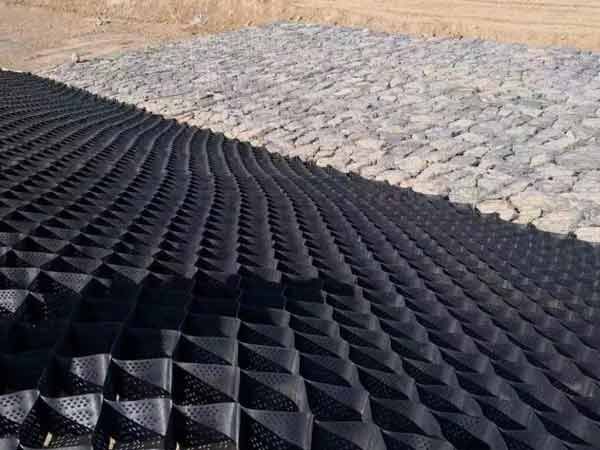 c(din)鿴Ԕ(x)Ϣ(bio)} xΔ(sh)1768