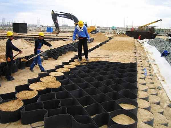 c(din)鿴Ԕ(x)Ϣ(bio)} xΔ(sh)1468